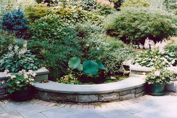 waterfall-pic-3