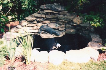 waterfall-pic-1
