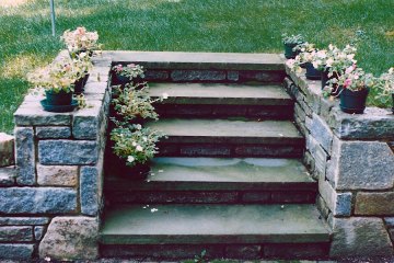 steps-photo-5
